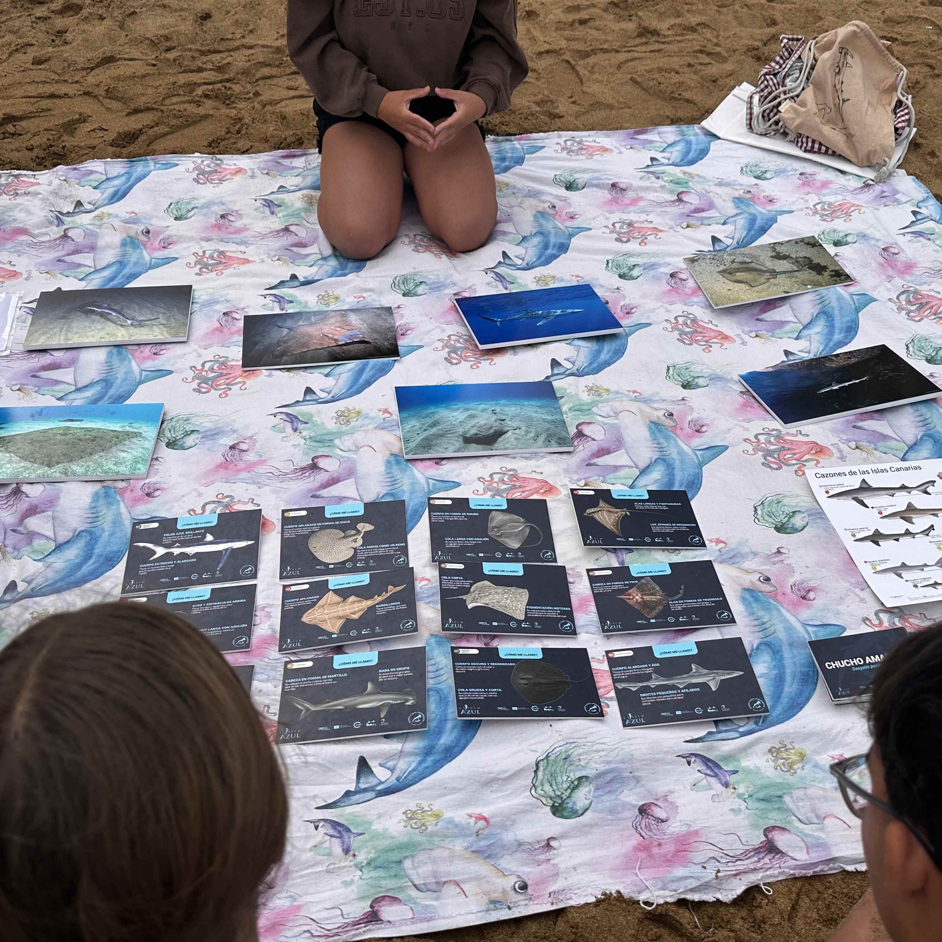 LaboratorioCanteras3 1