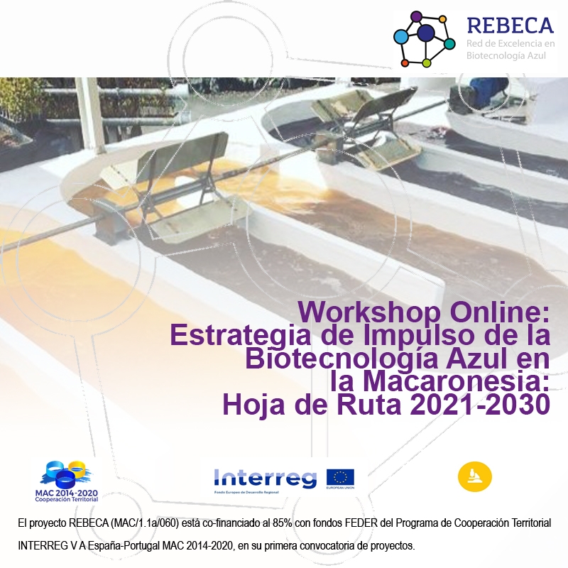 Workshop Online: Estrategia de Impulso de la Biotecnolog&iacute;a Azul en la Macaronesia: Hoja de ruta 2020-2030 - 11 de noviembre de 2020