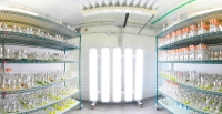 Convocatoria para la contrataci&oacute;n de un investigador doctor meces 4 ICP1, proyecto INNOVALGA