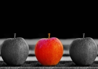 VIII Edici&oacute;n del Premio Canario a la Excelencia Empresarial