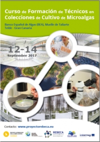 Proyecto REBECA, segunda reuni&oacute;n presencial y curso de formaci&oacute;n de t&eacute;cnicos