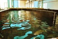 El crecimiento azul en las regiones ultraperif&eacute;ricas europeas, centro del &lsquo;Webinar FORWARD&rsquo; organizado por el Instituto Ecoaqua de la ULPGC