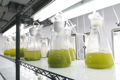La OTC impulsa la obtenci&oacute;n de una patente en Estados Unidos para la ULPGC por un innovador m&eacute;todo de producci&oacute;n de biomasa con microalgas