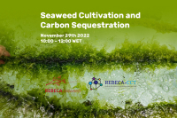 Webinar "Seaweed Cultivation and Carbon Sequestration", November 29th 2022, 10:00 &ndash; 12:00 WET